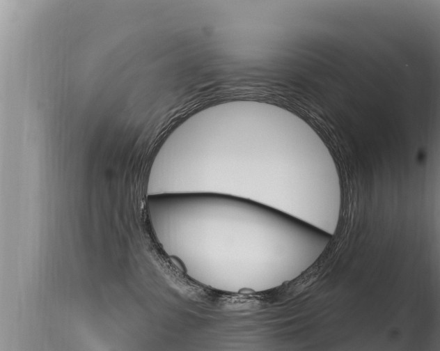 X0000115670331200911121012