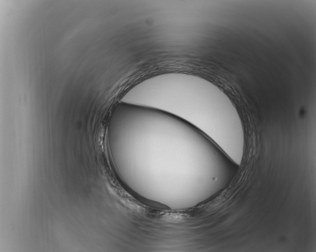 X0000115670332200911121012