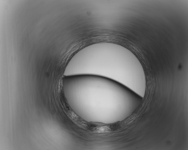 X0000115670333200911121012
