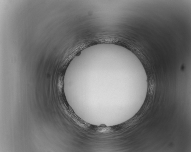 X0000115670334200911121012