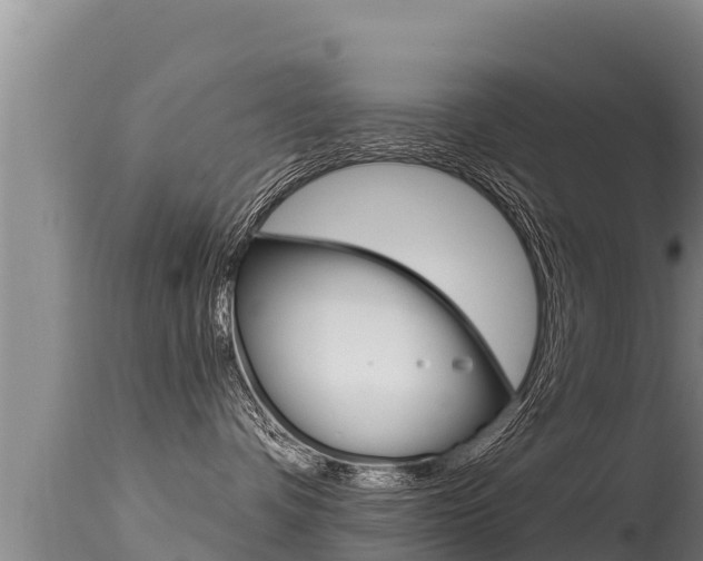 X0000115670336200911121012