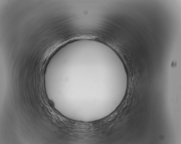 X0000115670337200911121011