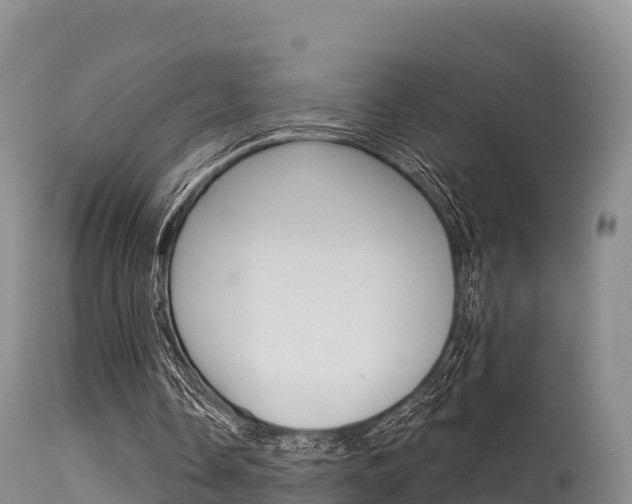 X0000115670338200911121011