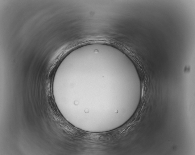 X0000115670339200911121011