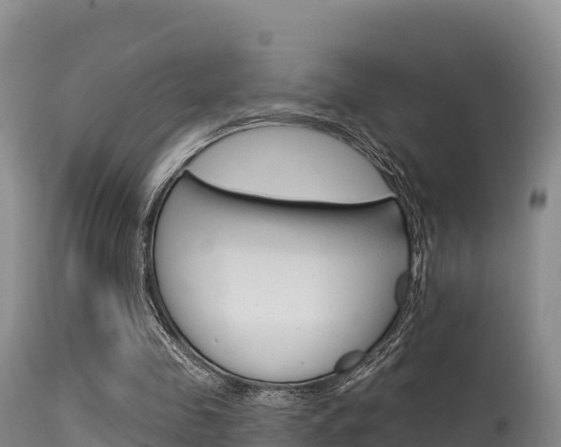 X0000115670341200911121011