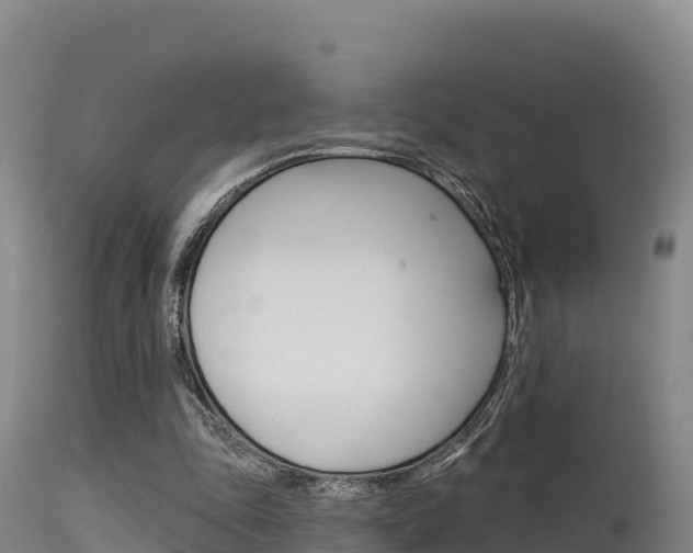 X0000115670343200911121011