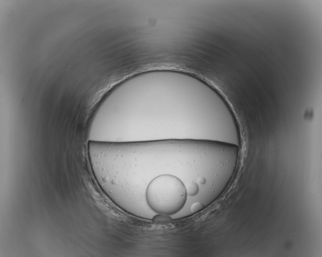 X0000115670345200911121011