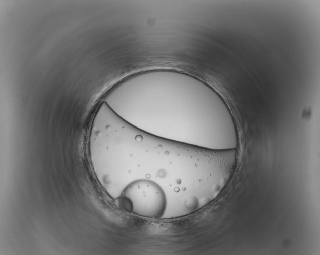 X0000115670346200911121011