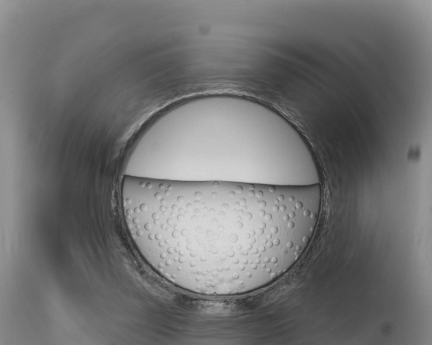 X0000115670347200911121011