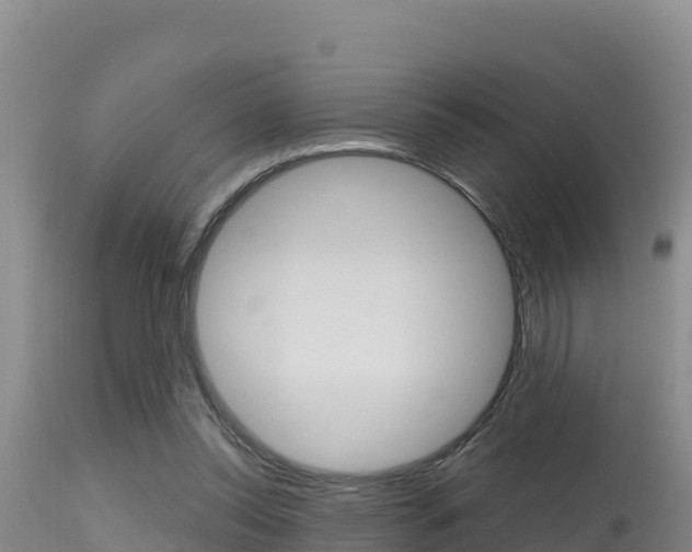 X0000115670350200911121011