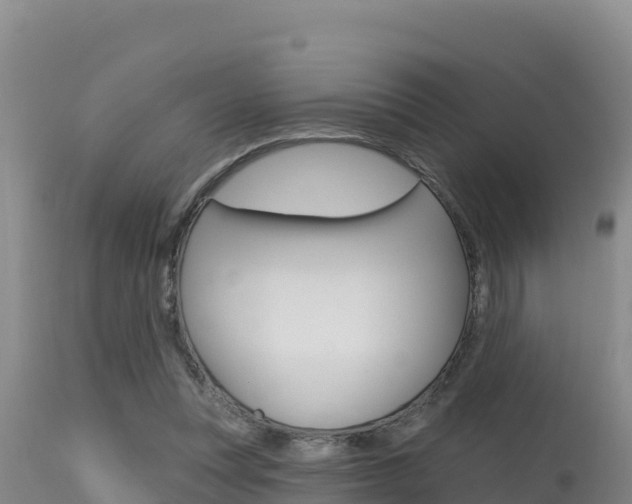 X0000115670351200911121011