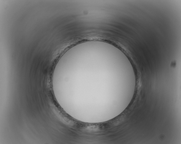 X0000115670353200911121011