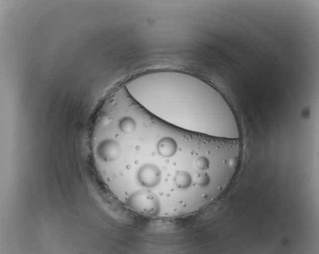 X0000115670354200911121011