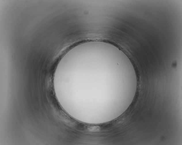 X0000115670355200911121012