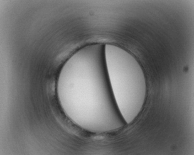 X0000115670358200911121012