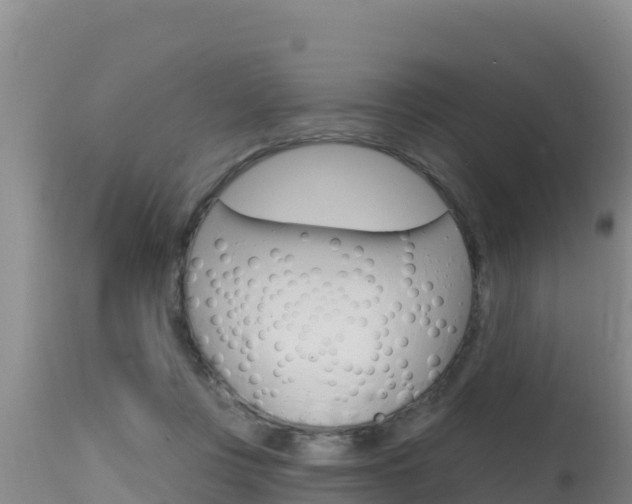 X0000115670359200911121012