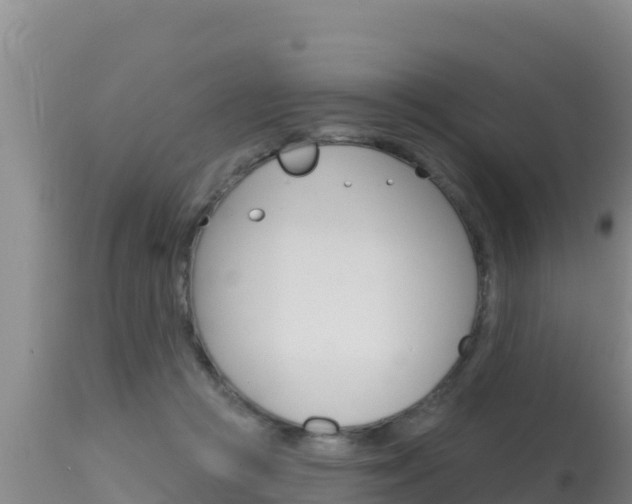 X0000115670361200911121012