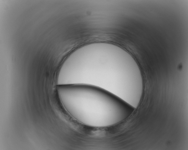 X0000115670362200911121012