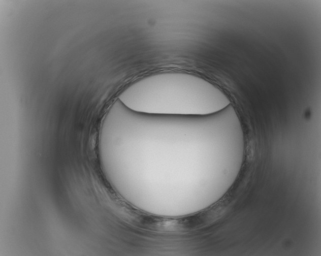 X0000115670365200911121012