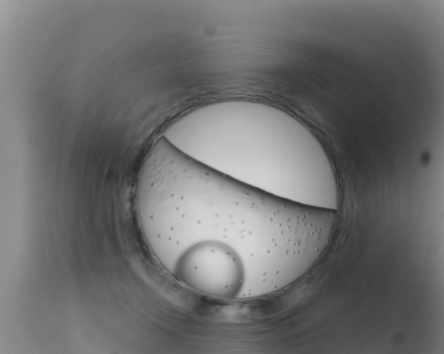 X0000115670366200911121012