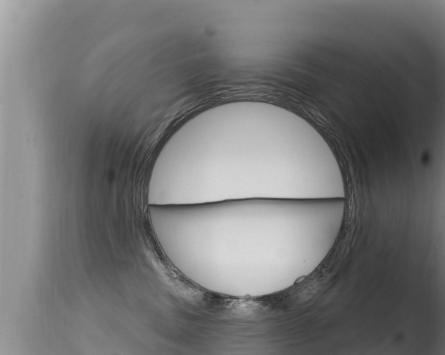 X0000115670379200911121012