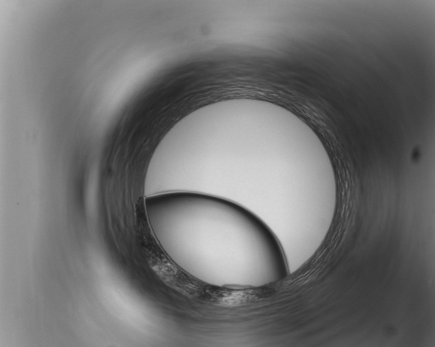 X0000115670382200911121012