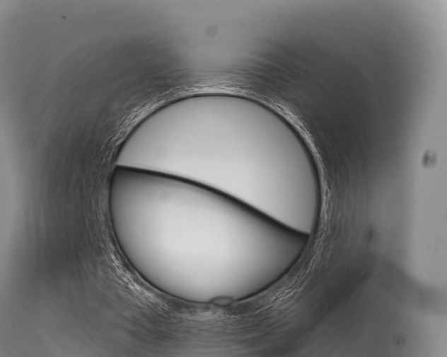 X0000115670385200911121011