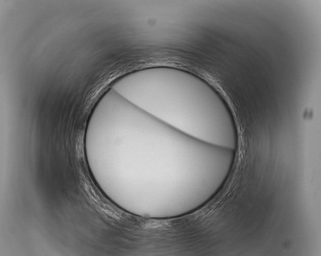 X0000115670386200911121011
