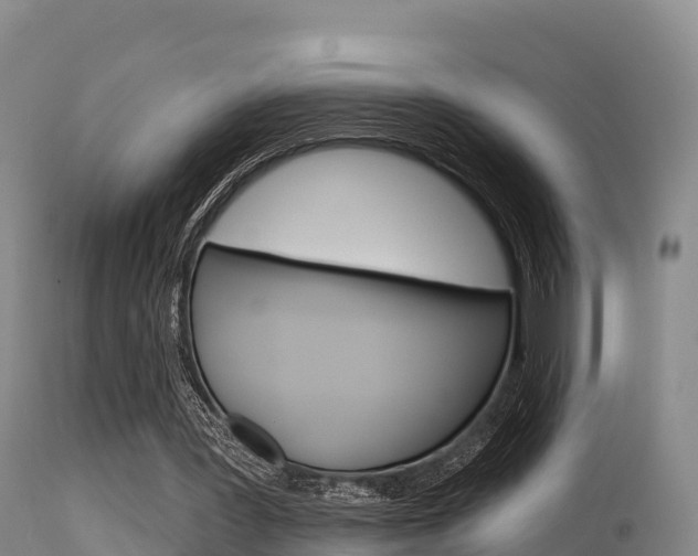 X0000115670387200911121011
