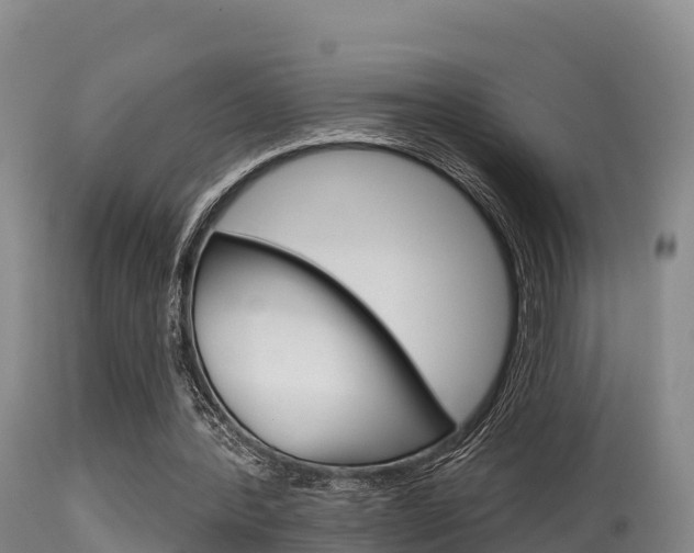 X0000115670388200911121011