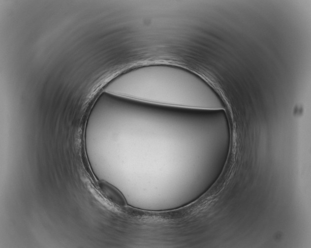 X0000115670389200911121011