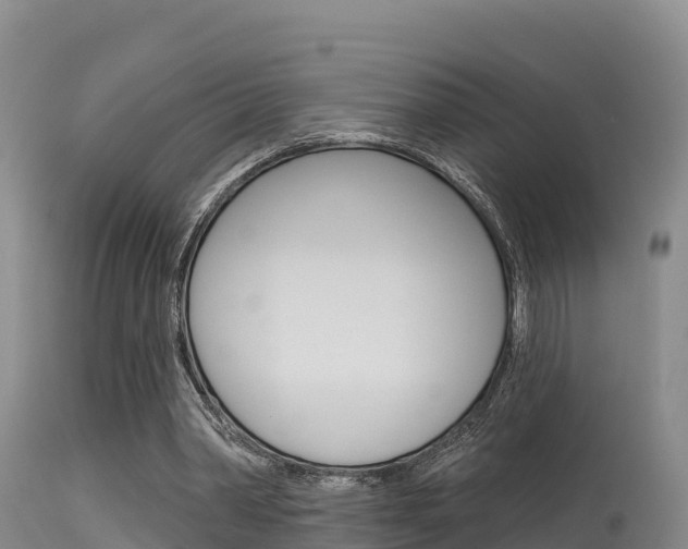 X0000115670390200911121011
