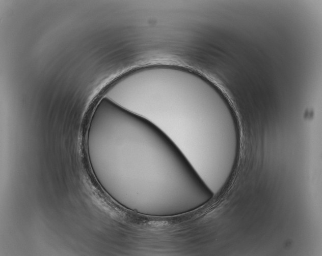 X0000115670391200911121011