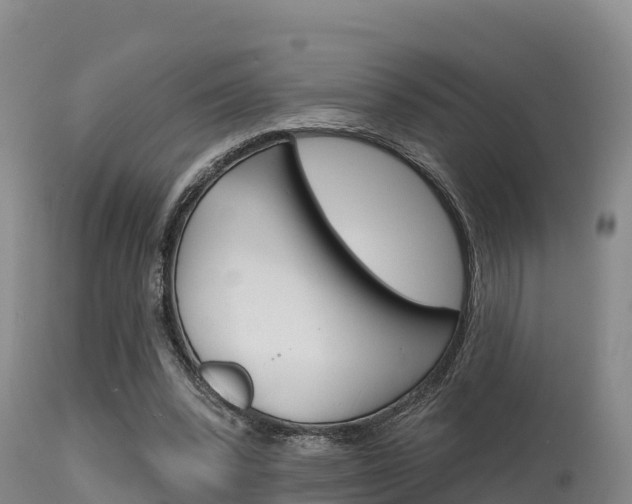 X0000115670392200911121011