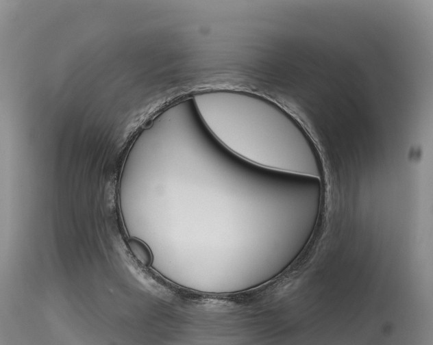 X0000115670393200911121011