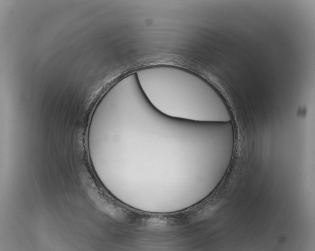 X0000115670394200911121011
