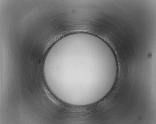 X0000115670397200911121011