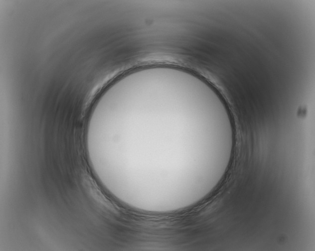 X0000115670399200911121011