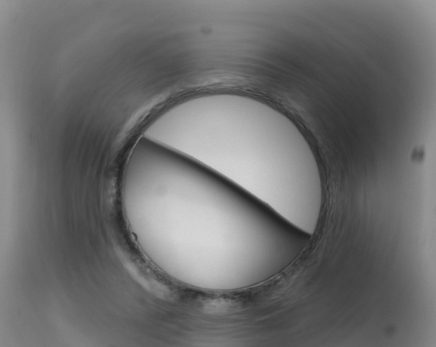 X0000115670400200911121011