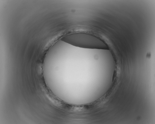 X0000115670401200911121011