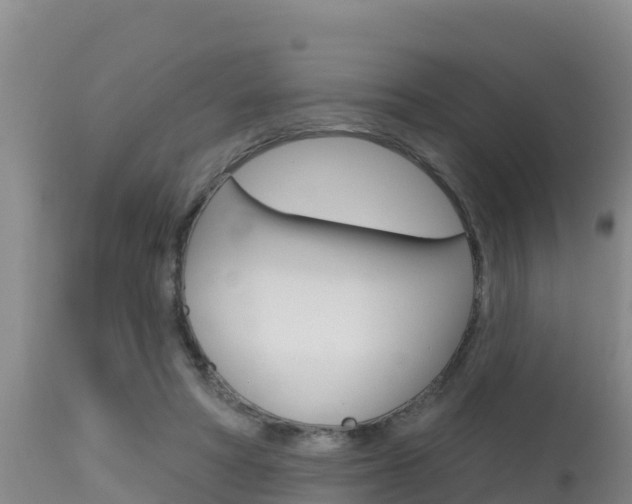 X0000115670402200911121011