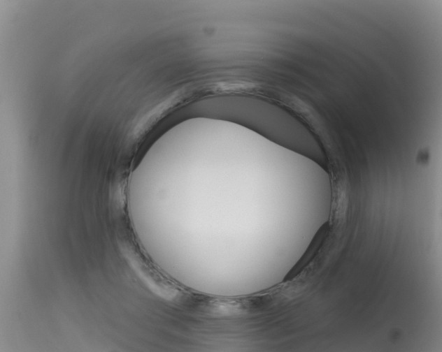 X0000115670405200911121011