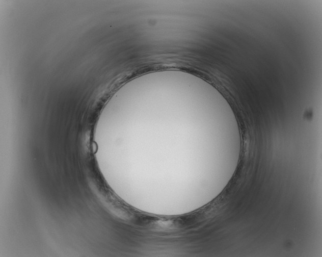 X0000115670406200911121011