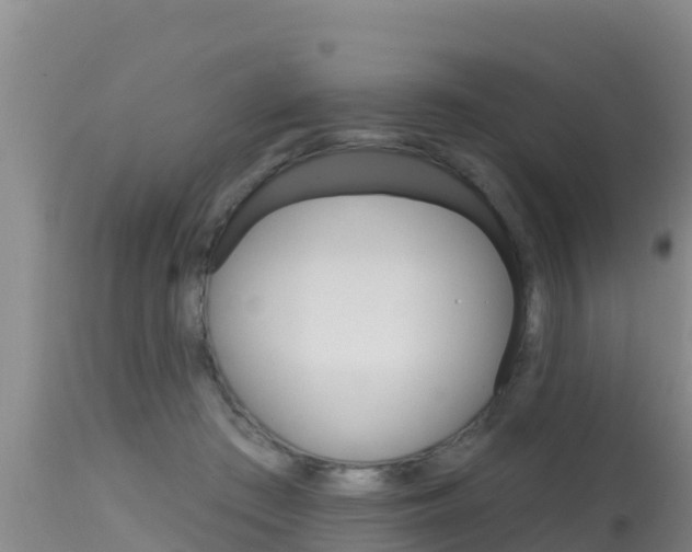 X0000115670409200911121011