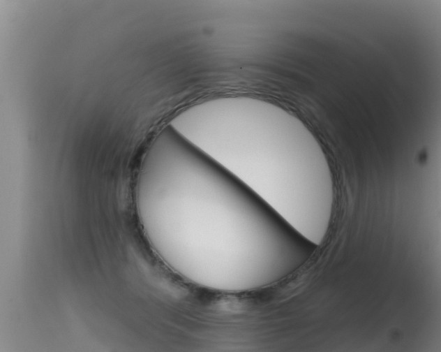 X0000115670416200911121011