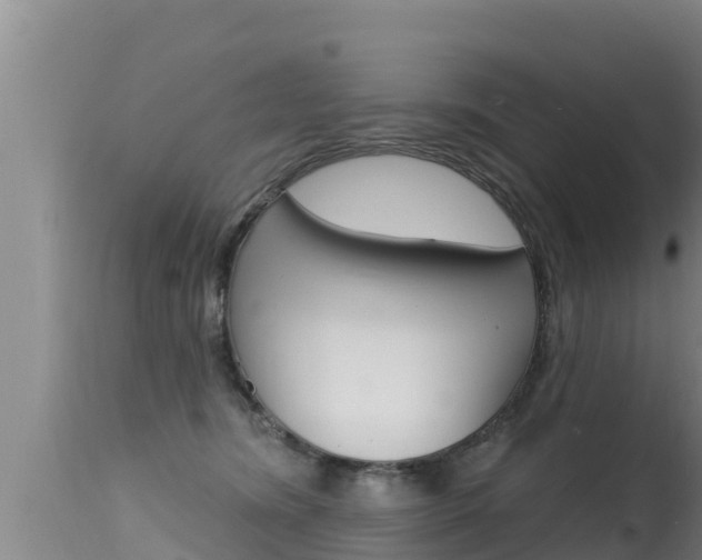 X0000115670420200911121011