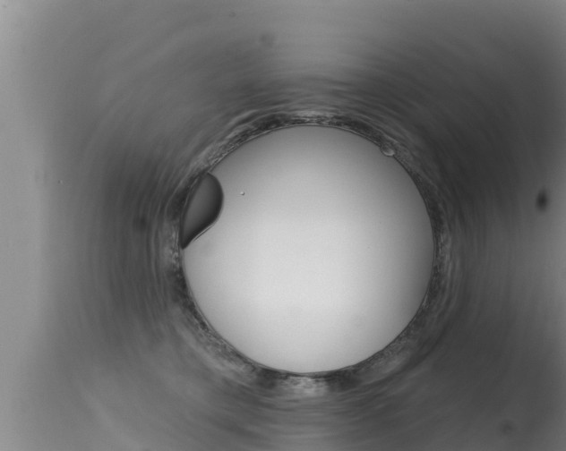 X0000115670421200911121011