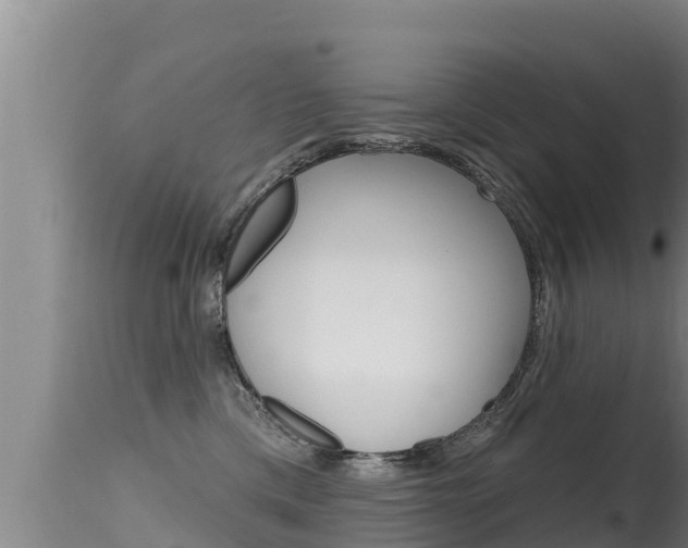 X0000115670425200911121011