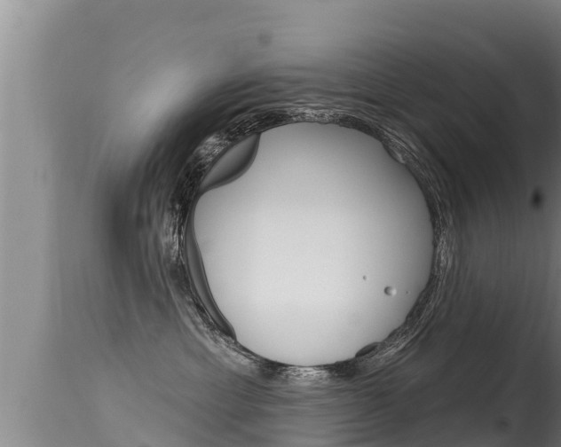 X0000115670429200911121011