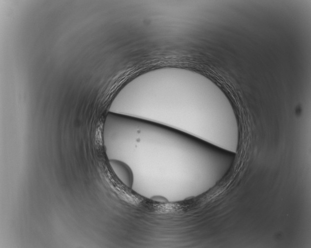 X0000115670432200911121011